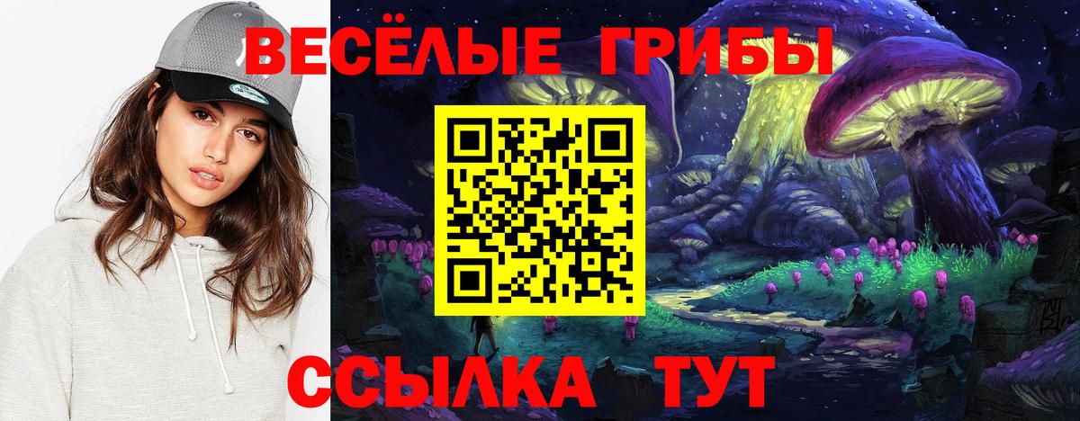 Пенза  Галлюциногенные грибы Magic Shrooms  Вход с VPN 